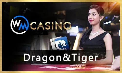 Jili77 Casino Games